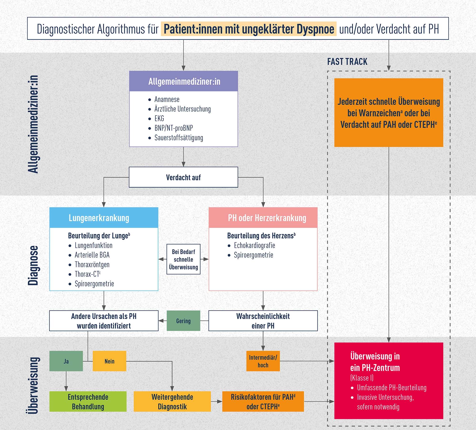 Diagnostischer Algorithmus für Patient:innen mit ungeklärter Dyspnoe und/oder Verdacht auf PH