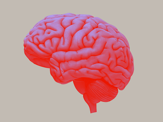 Unsere Produkte in den Neurowissenschaften