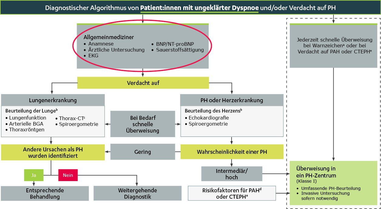 Diagnostischer Algorithmus von Patient:innen mit ungeklärter Dyspnoe und/oder Verdacht auf PH