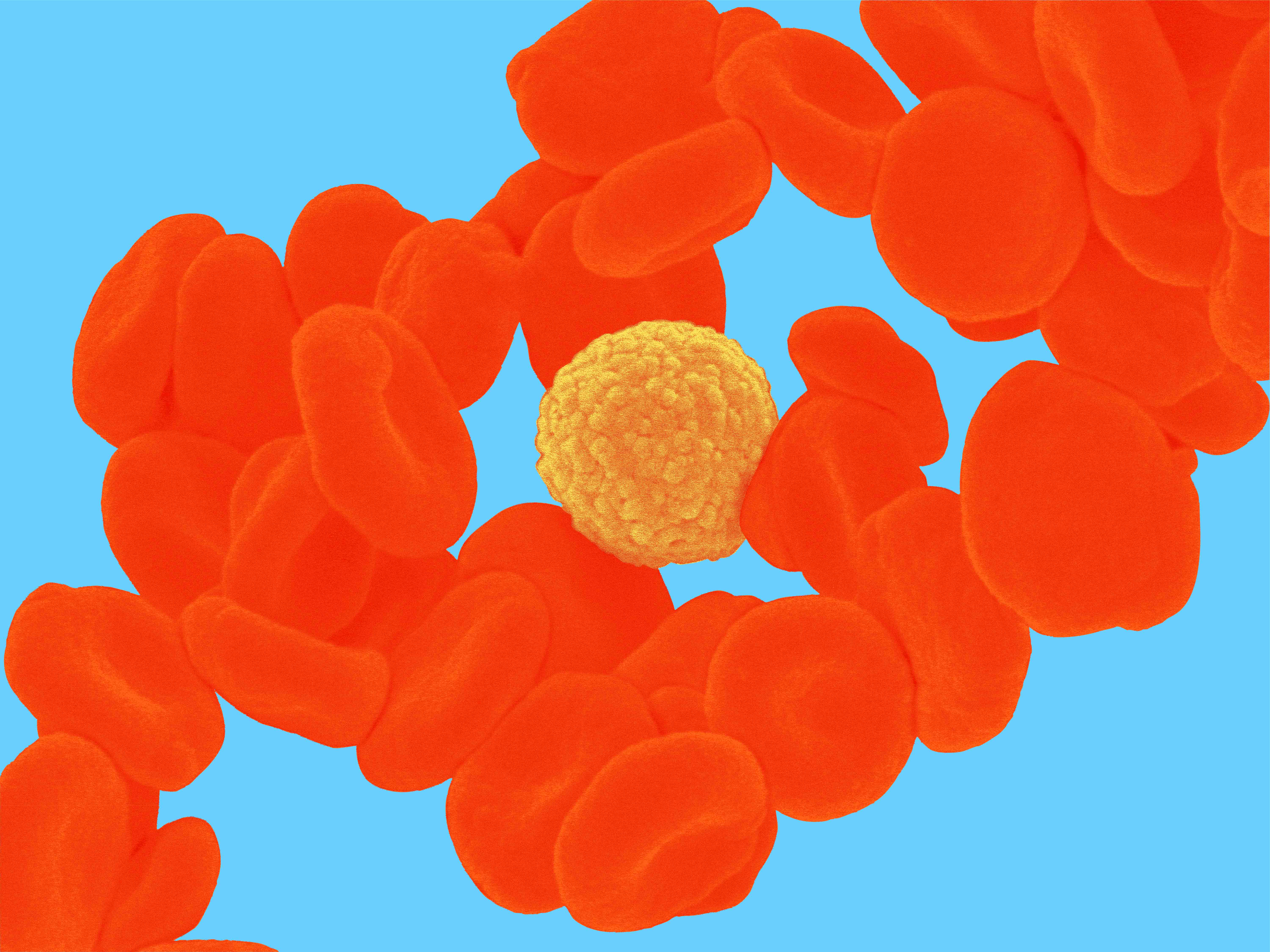 Medizinische Fortbildung Onkologie