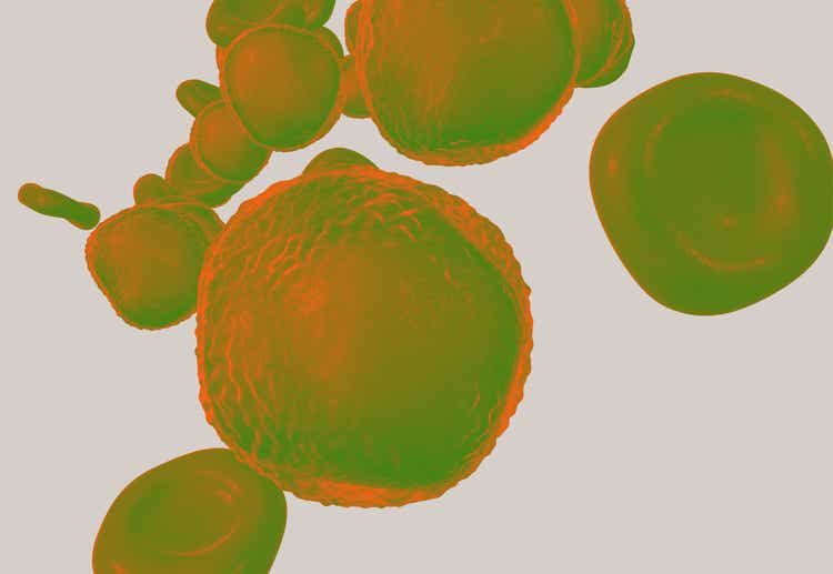 Medizinische Fortbildung Hämatologie