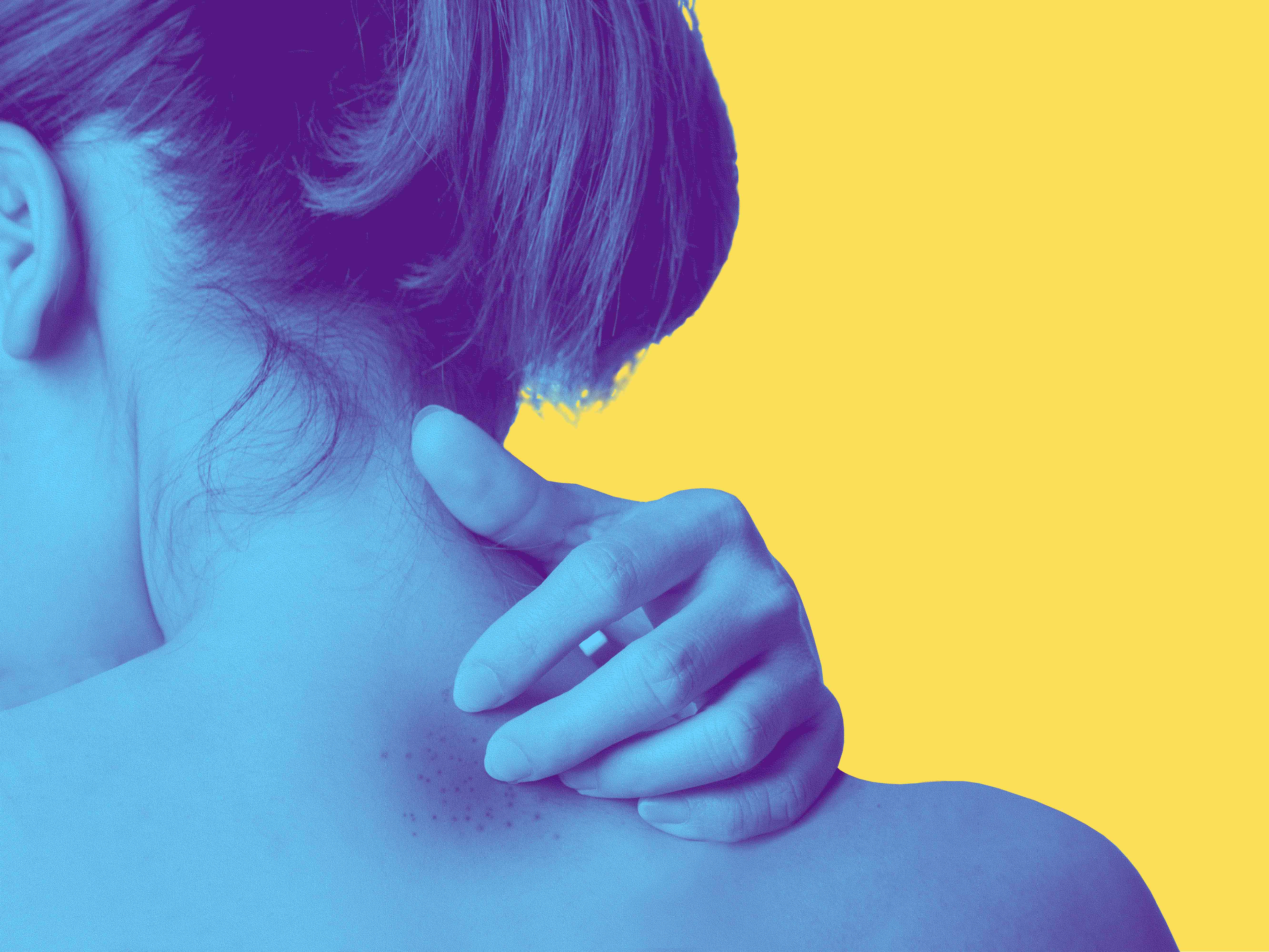 Fokusgebiet: Immunologie