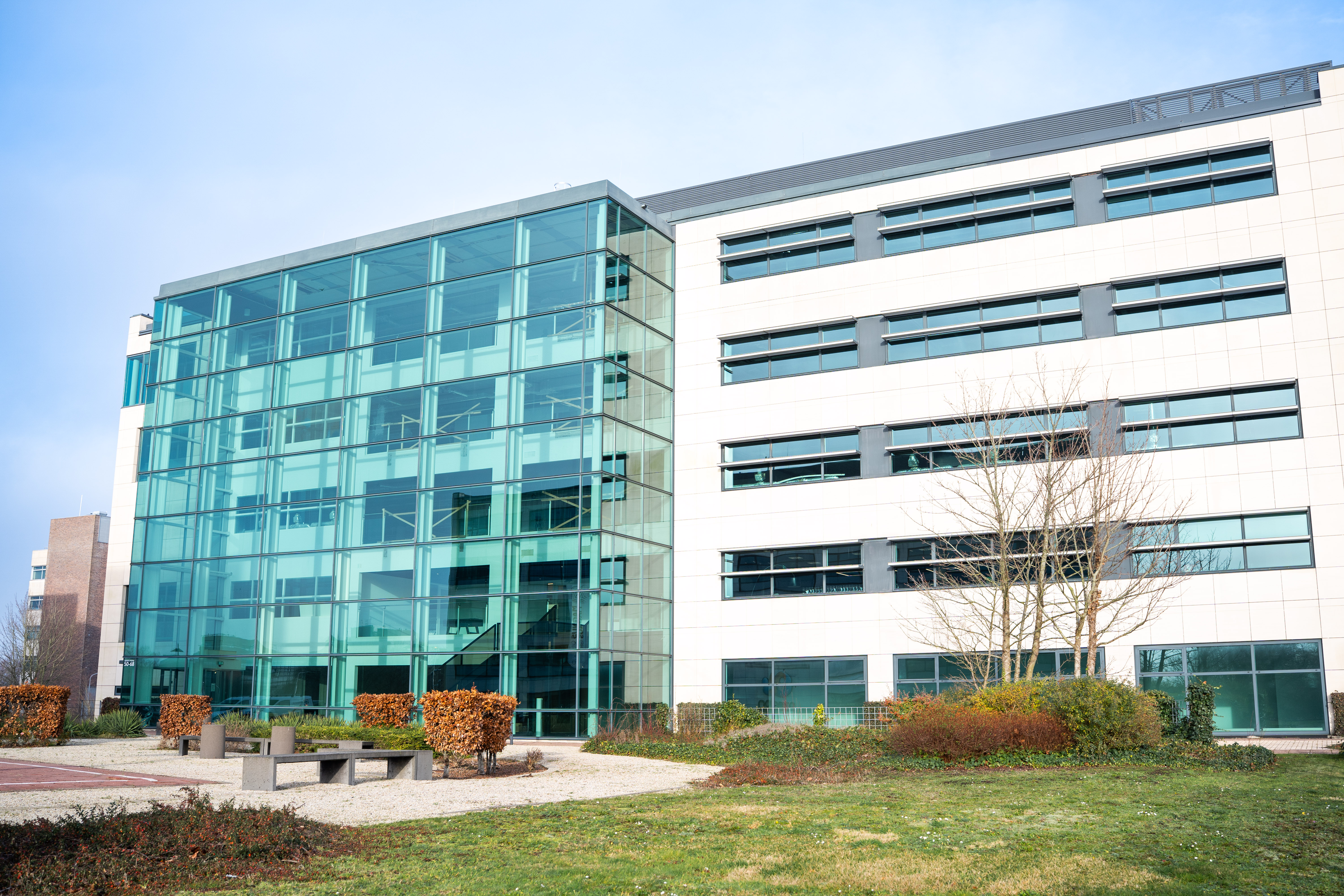 Boeing Avenue 50