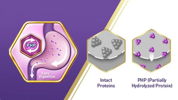 Partially Hydrolyzed Protein (PHP) digestion illustration