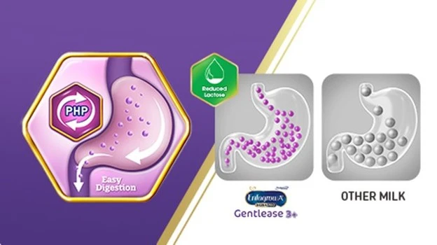 Easy digestion comparison of Gentlease vs regular cow’s milk