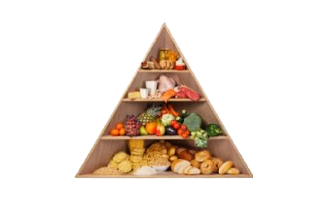 Food pyramid example