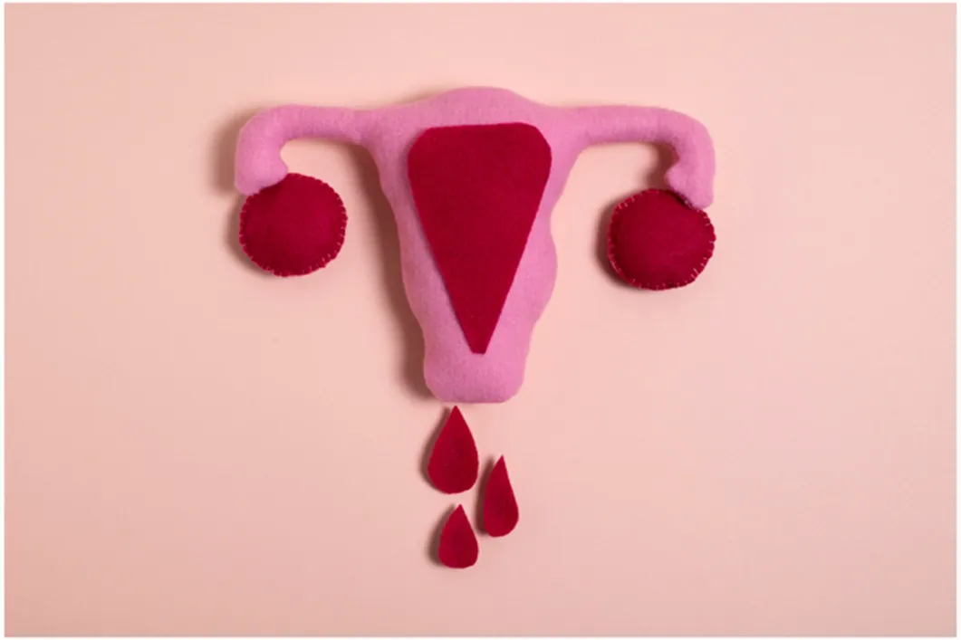 Felt-craft-illustration-of-uterus-representing-menstruation-or-reproductive-health.webp