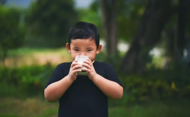 Powdered Milk