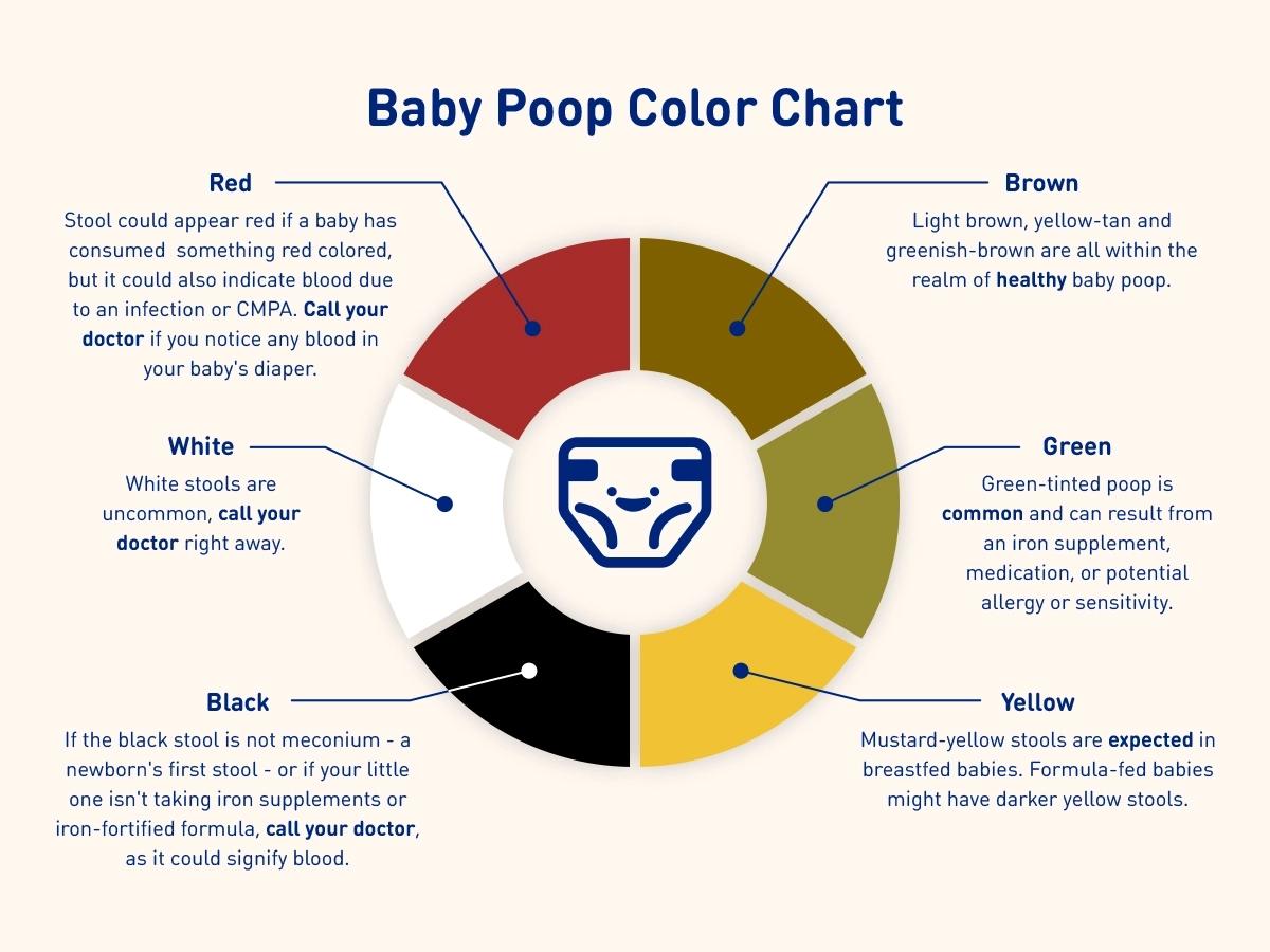 Baby Poop Color Chart Explaining Various Stool Colors and Health Indicators