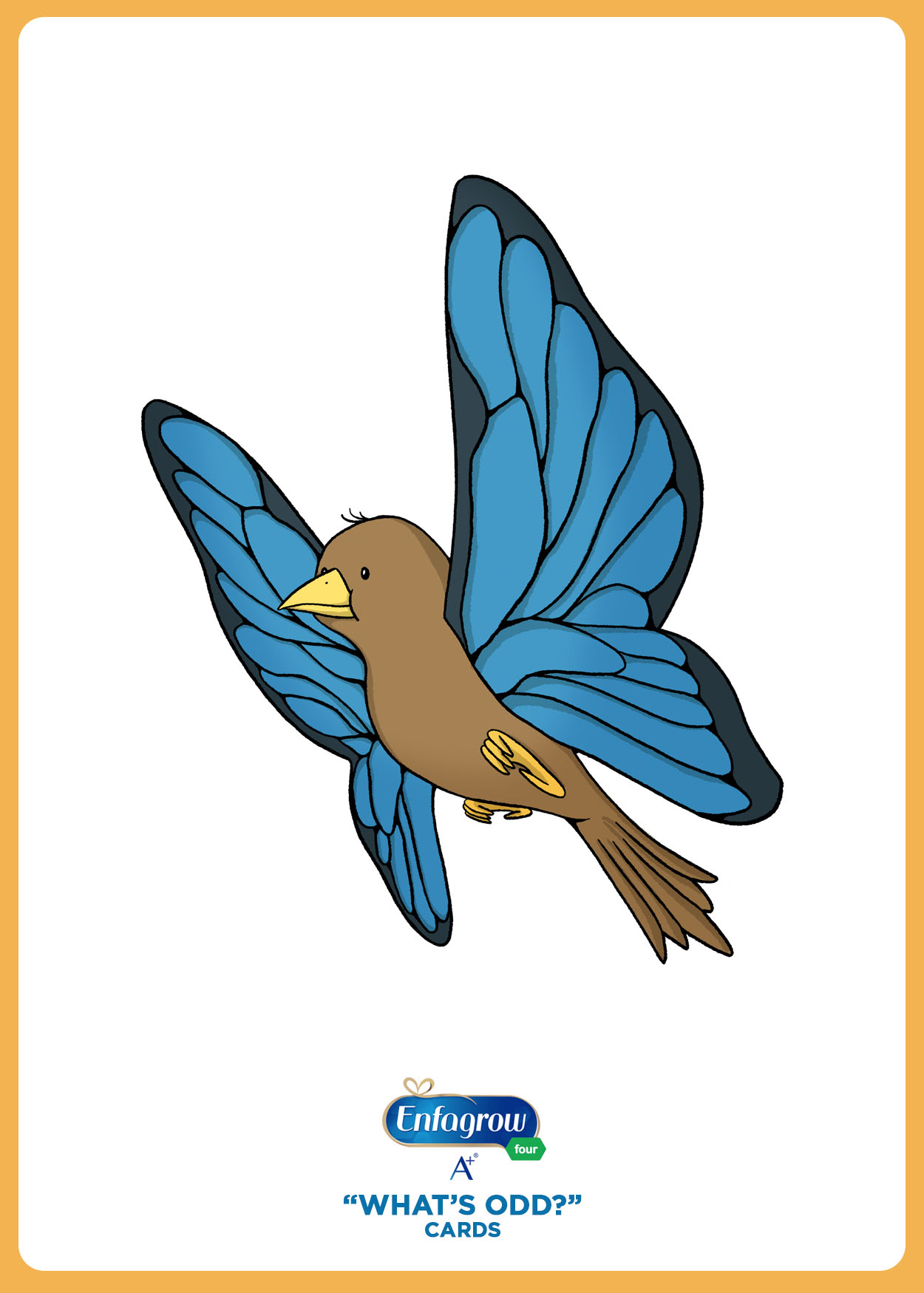 butterfly-card.jpg