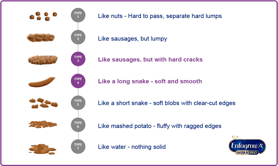 Poop consistency meaning chart by Enfagrow A+ Philippines