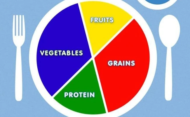 Illustration of proper food proportions for kids