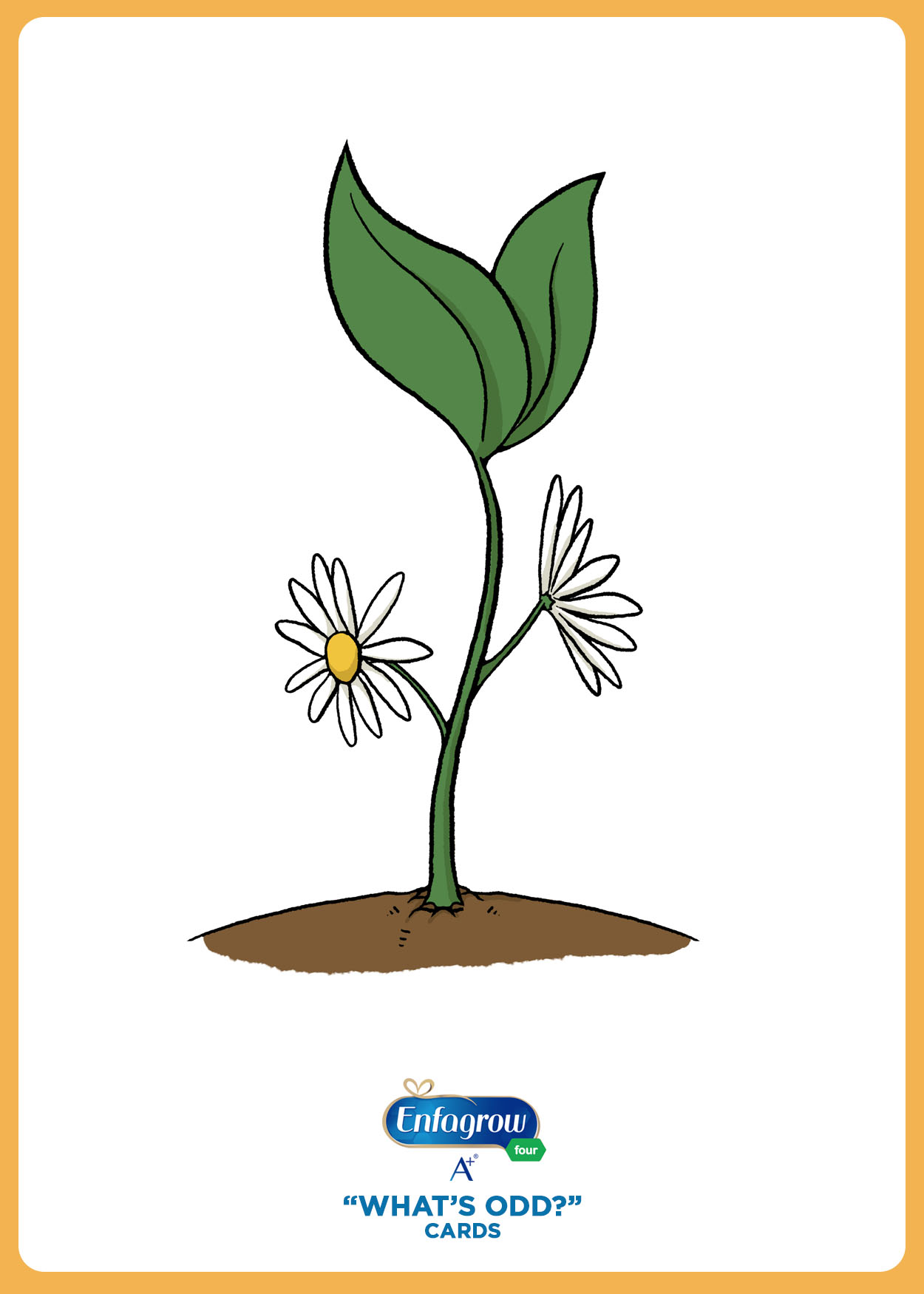 plant-card.jpg