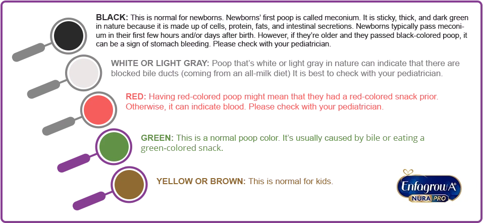 Poop color meaning chart by Enfagrow A+ Philippines