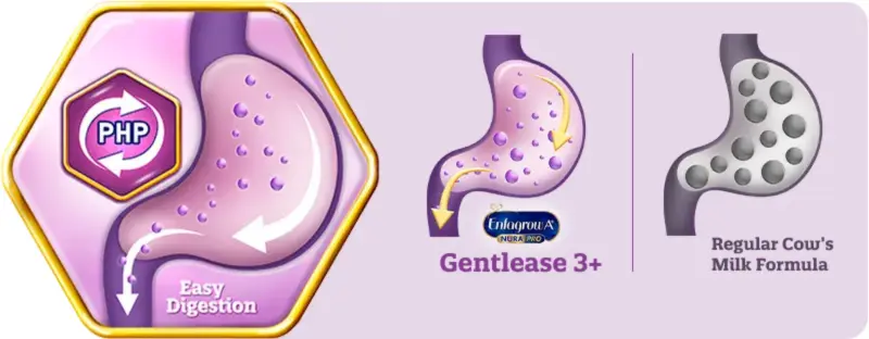 easy-digestion.webp