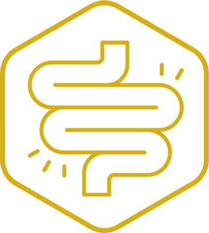 Intestinal tract icon representing gut health