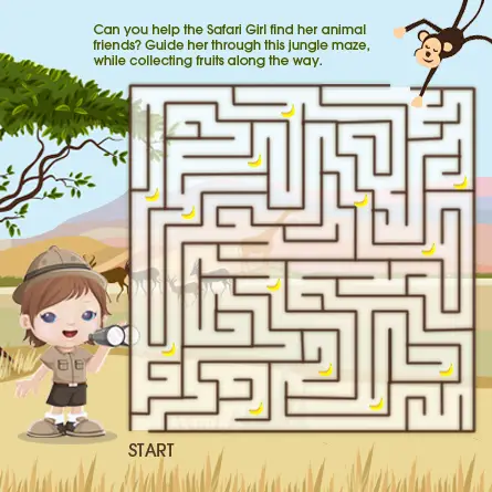 A-maze-ing Explorers