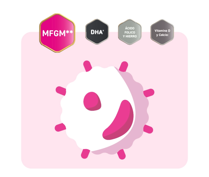 Ilustración sobre la membrana del glóbulo de grasa de la leche (MFGM), acompañada de íconos de nutrientes como DHA, ácido fólico, hierro, vitamina D y calcio. El texto resalta que la MFGM es uno de los componentes más importantes de la leche materna o bovina no procesada, clave para el desarrollo y la nutrición infantil.