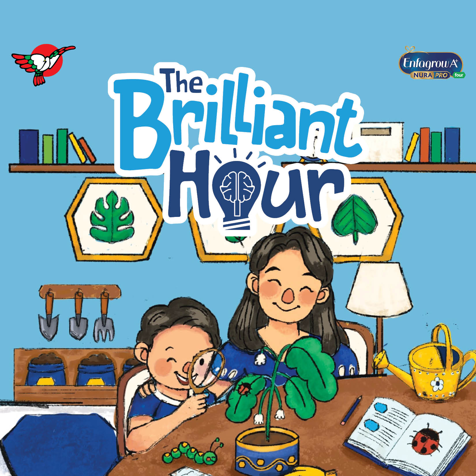Enfa The Brilliant Hour