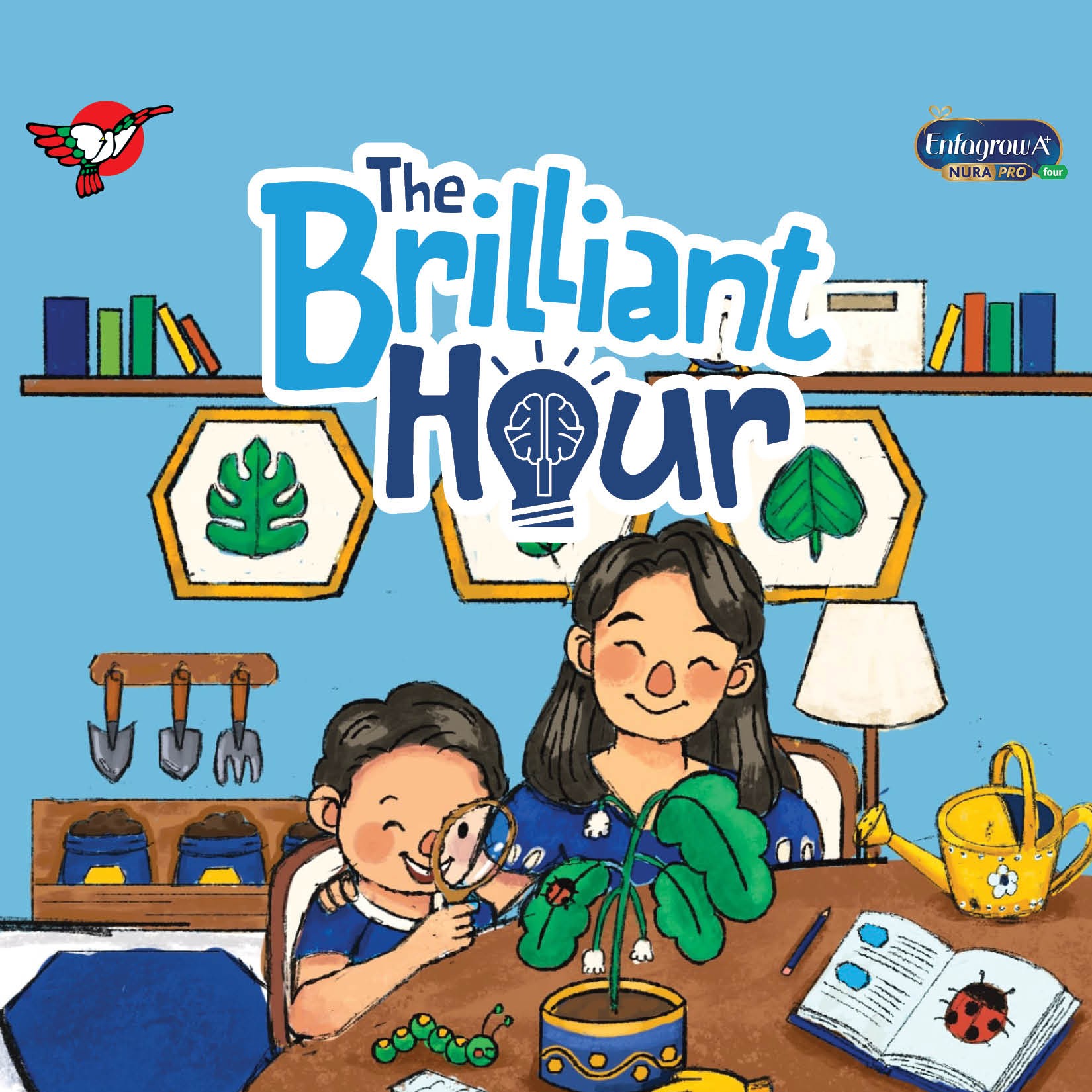 Enfa The Brilliant Hour