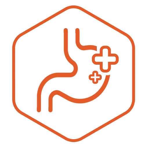 Stomach icon representing digestive health