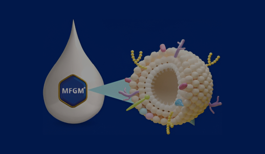 Ilustración de gota de leche mostrando la membrana del glóbulo de grasa (MFGM), destacando sus propiedades nutricionales para el cerebro y defensas.