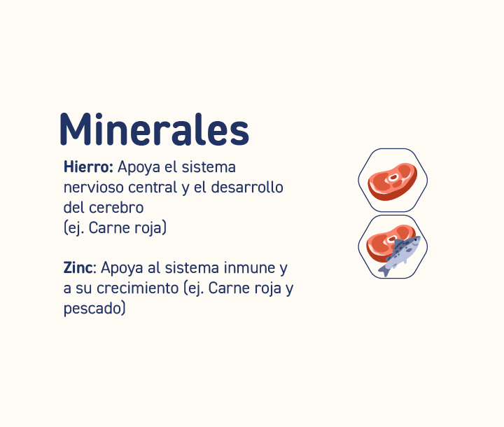 Infografía con dibujos de carne y pescado, destacando el aporte de hierro y zinc para el crecimiento y sistema inmune.