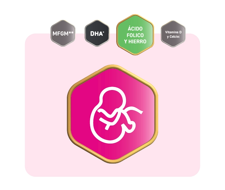 Ácido fólico y hierro de Enfamil Mamá, apoyo nutricional para embarazo y lactancia.