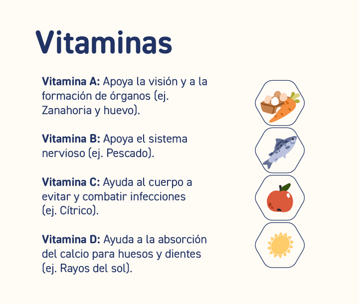 Infografía con ilustraciones de alimentos que representan vitaminas A, B, C y D, mostrando sus beneficios para la salud infantil.