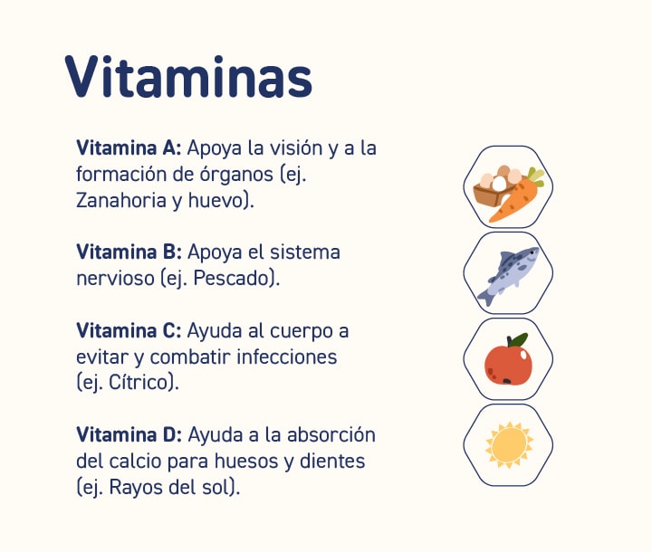 Infografía con ilustraciones de alimentos que representan vitaminas A, B, C y D, mostrando sus beneficios para la salud infantil.