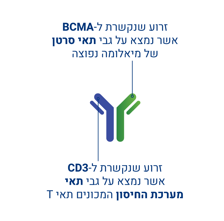 קולטן BCMA