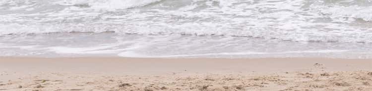 IL_Rybrevant_JWM_Header-BG IL_Rybrevant_JWM_Header-BG