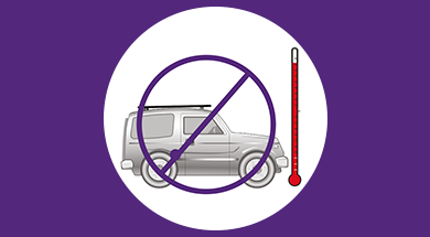 טמפרטורה גבוהה ברכב