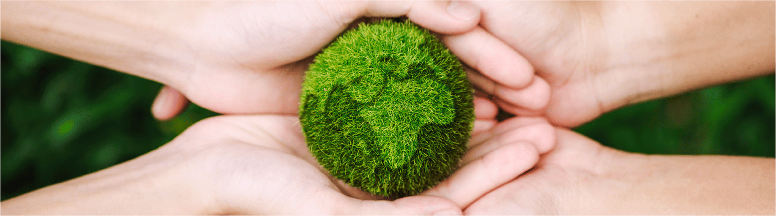 Reckitt Signs Pledge To Advance Sustainability Efforts as a Proud Member of Ad Net Zero