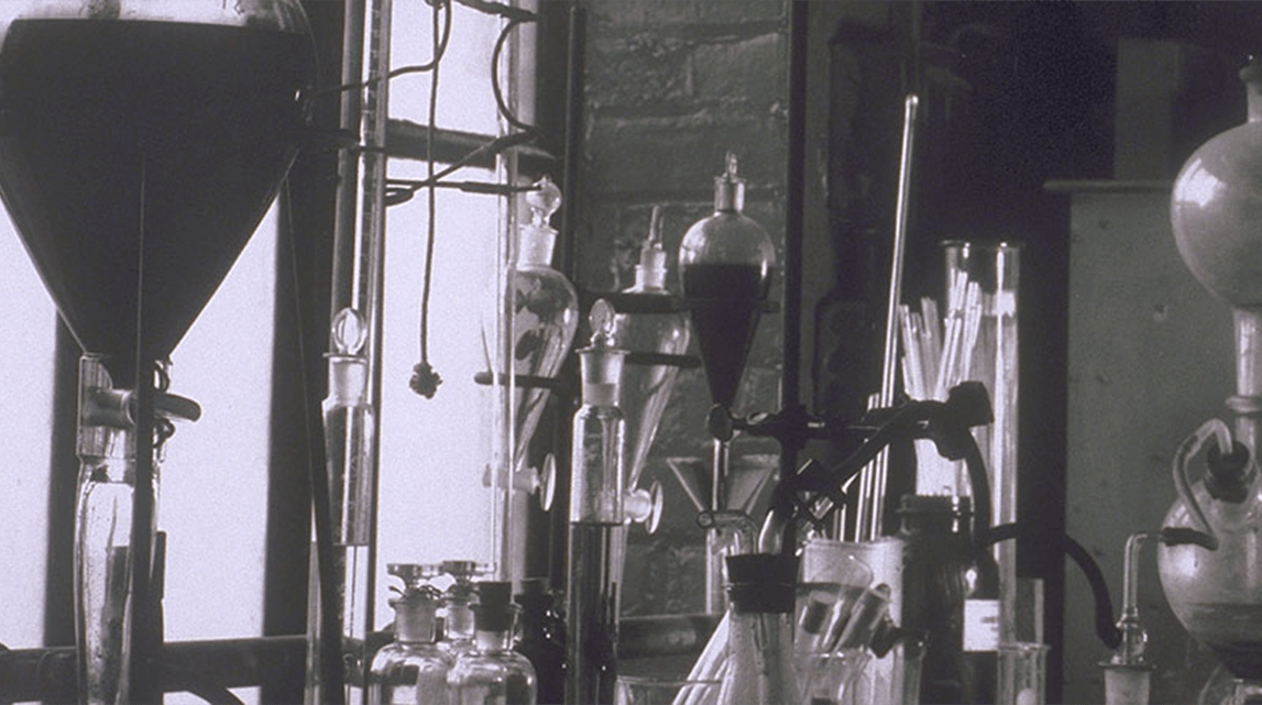 Our colleagues' untold stores: revealed