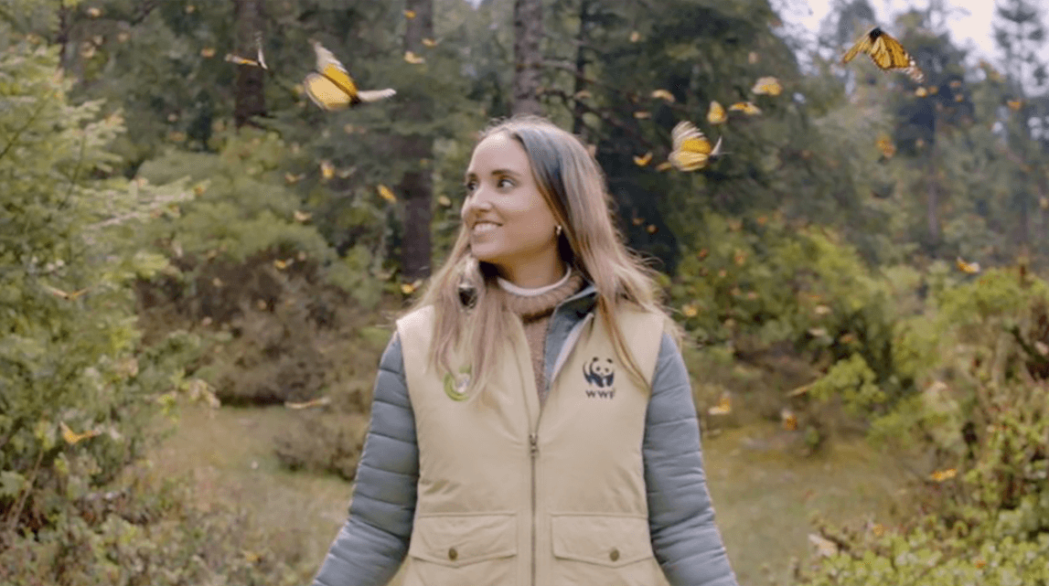 Partnering in an age of change