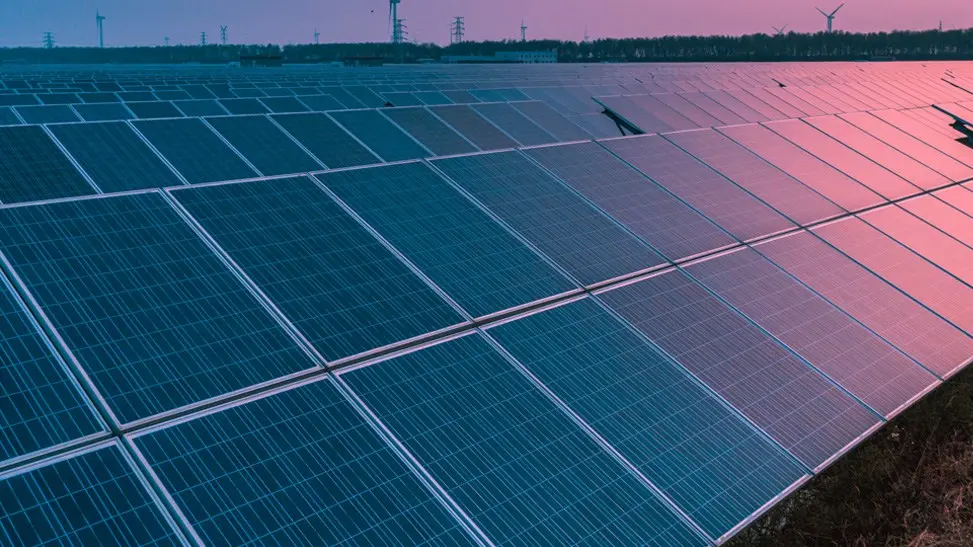 Rows of solar panels in a large outdoor installation