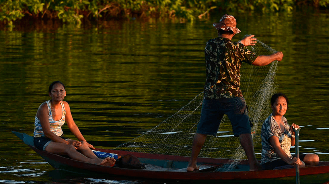 Our partnership with WWF: the story so far