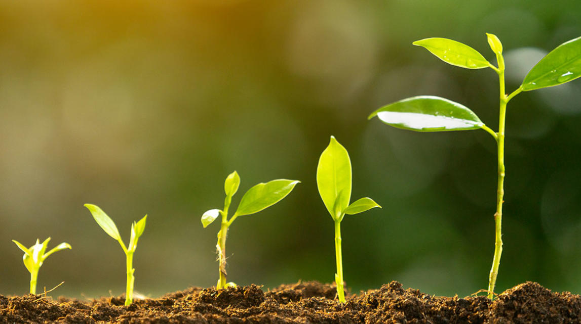 RB rejoins Dow Jones Sustainability World Index