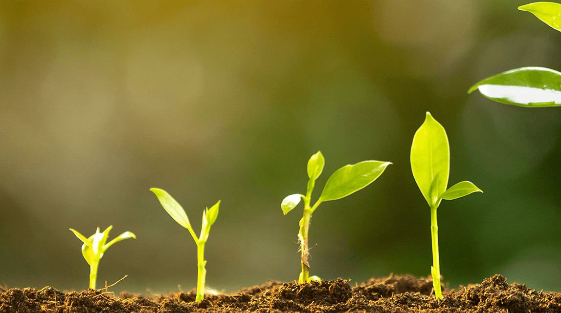 RB Pledges to Tackle Climate Change