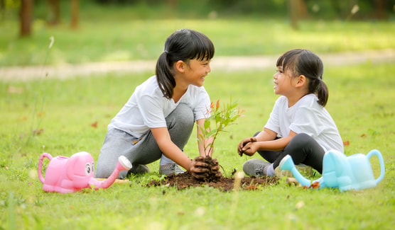 Children planting a tree together in a park