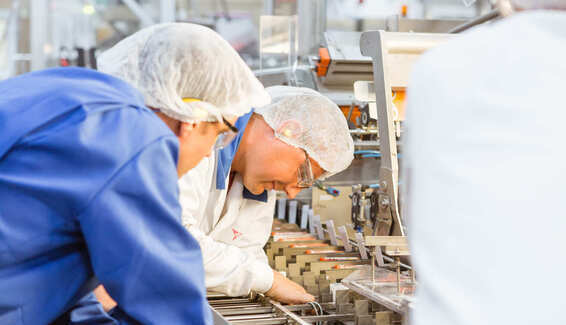 Employees inspecting equipment on a manufacturing production line