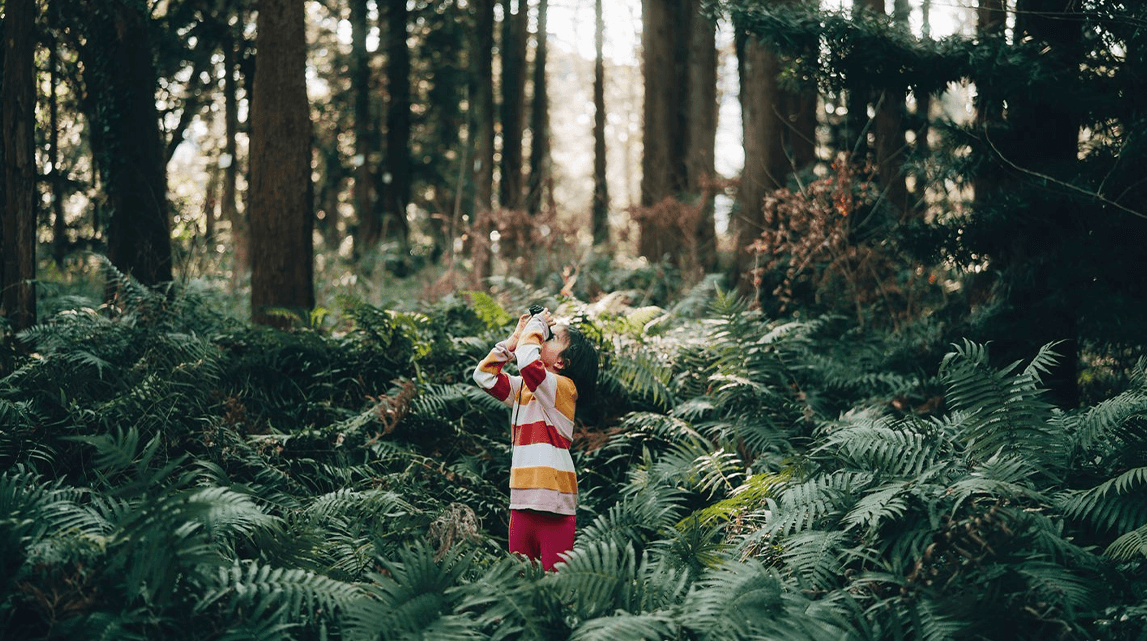 We're facing a biodiversity crisis