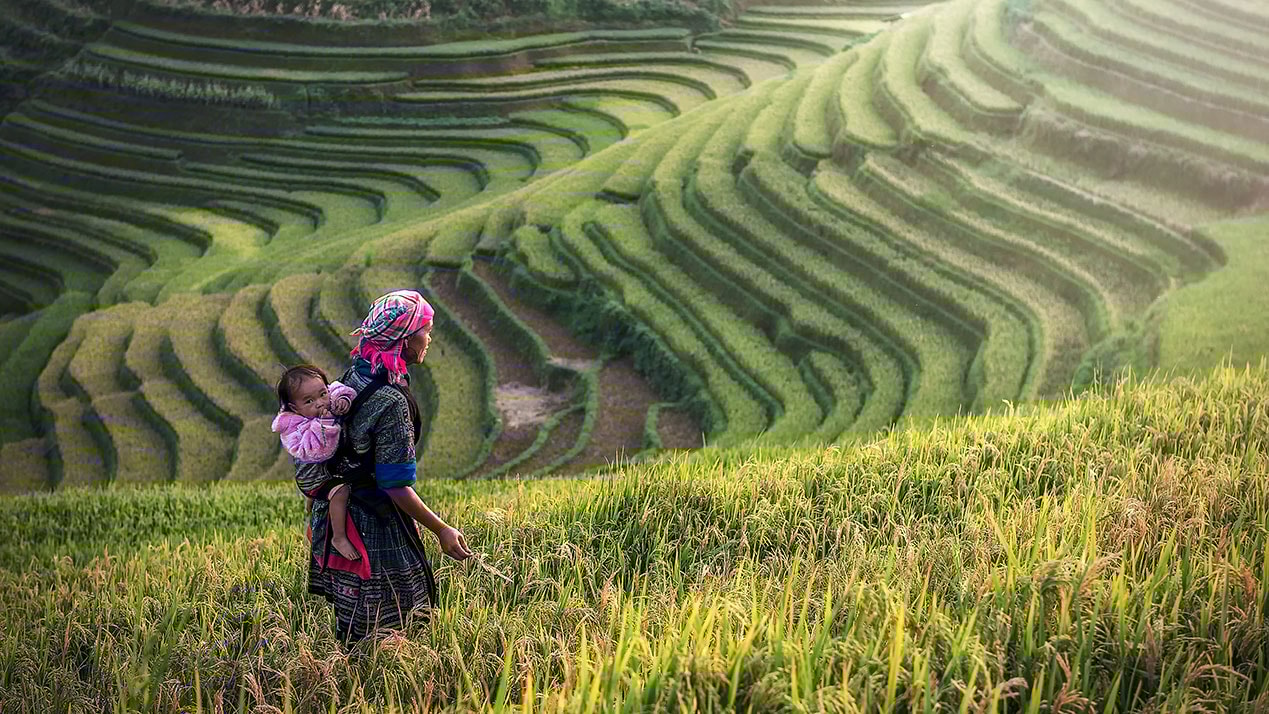 We’re enabling a fairer society by fighting Modern Slavery throughout our value chain