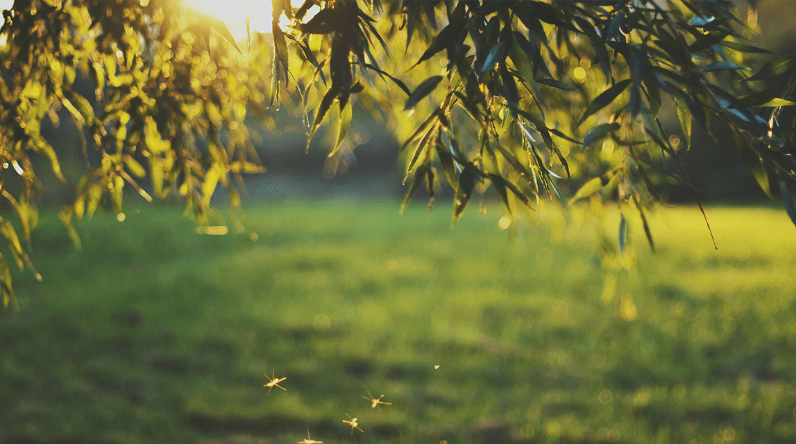 RB recognised as world leader for supplier engagement on climate change