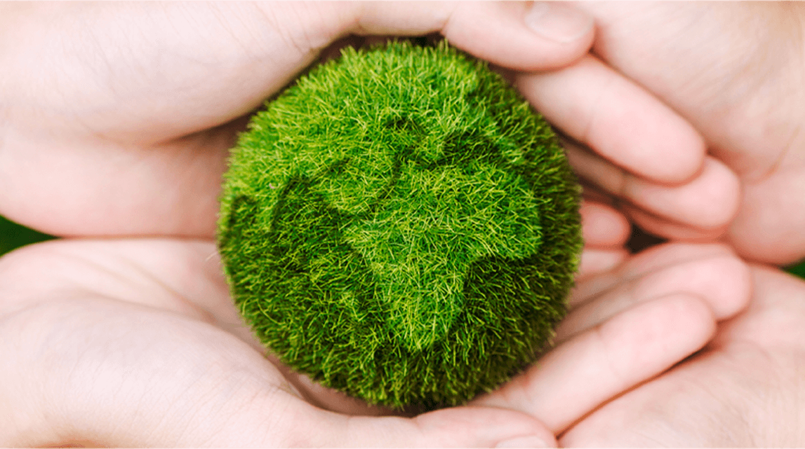 Advancing sustainability as an Ad Net Zero member