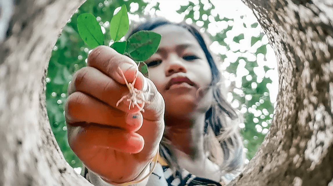 Planetary health is public health