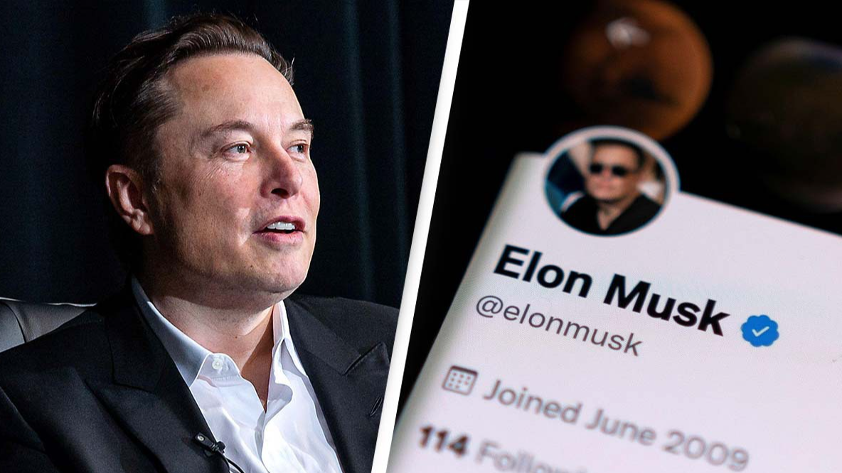 Elon Musk hits back at Stephen King after author suggested he should donate  blue tick cost to charity