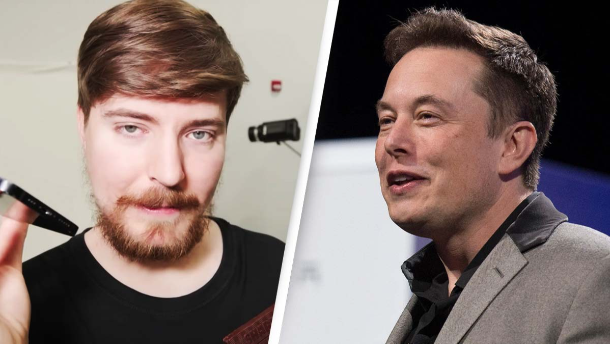 r Mr Beast Can Keep Twitter If Elon Musk Dies Mysteriously: 'No  Takesies Backsies' - Business