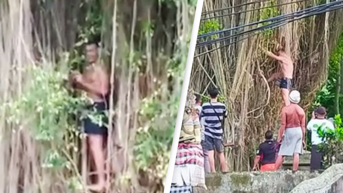 Tourist Ordered To Pay For Forgiveness Ritual After Climbing Sacred Tree In Bali - Vimarsana News